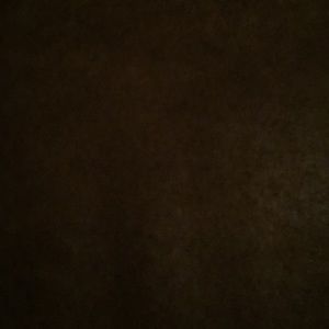 Meet your Posher, Shay